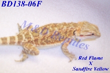 BD138-06F