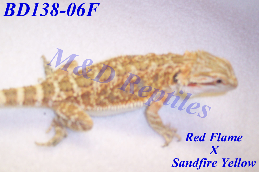 BD138-06F