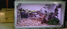 Mamba Enclosure