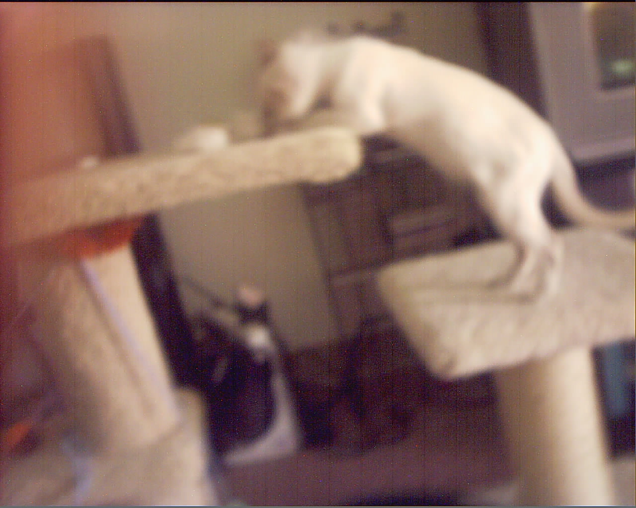 play time