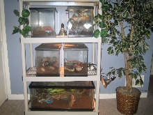 Enclosures