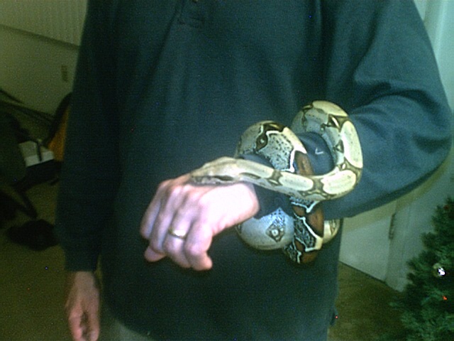 young male peruvian