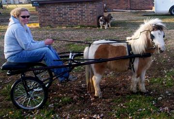 Krackerjack driving
