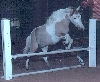 Krackerjack Jumping