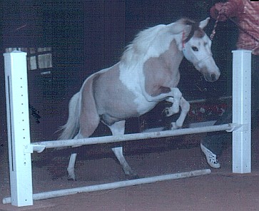 Krackerjack Jumping