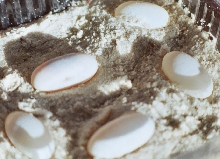 Red-cheeked eggs