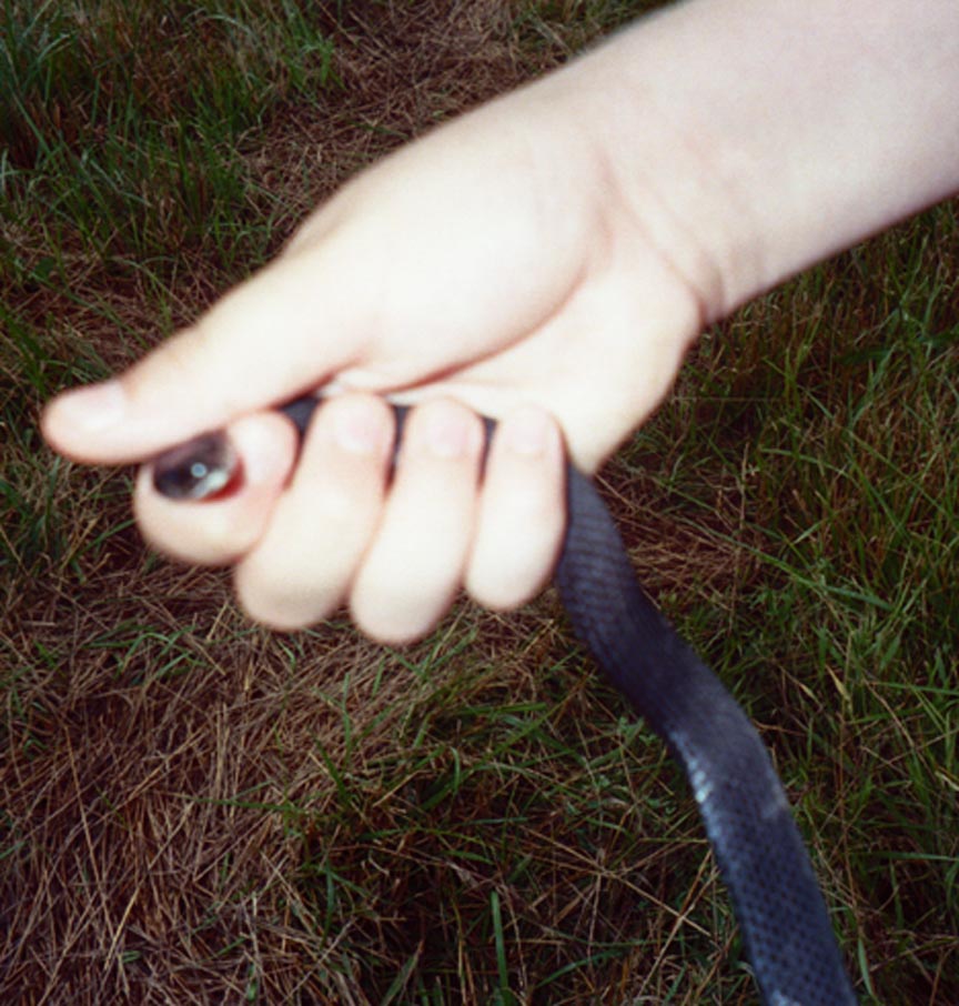 Wild Melanistic