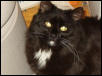 Smudge