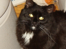 Smudge