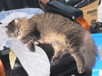 Resting