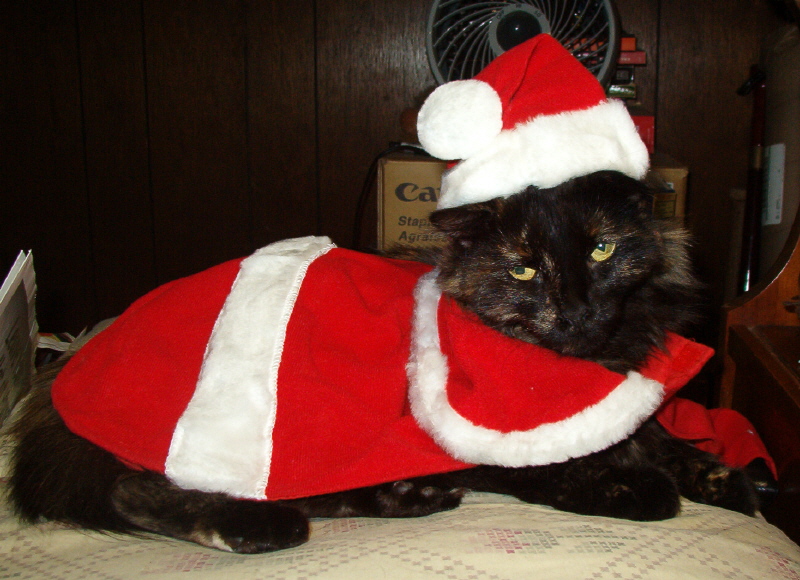 Santa?