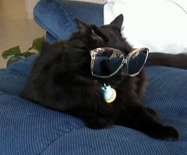 PepperSunglasses