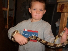 Goini