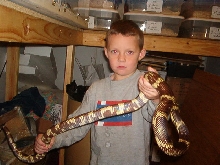 Goini