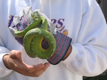 Handling My GTP