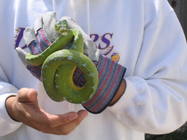 Handling My GTP