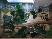 My Enclosure