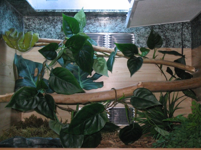 My Enclosure