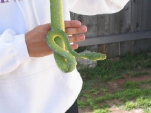 Handling My GTP