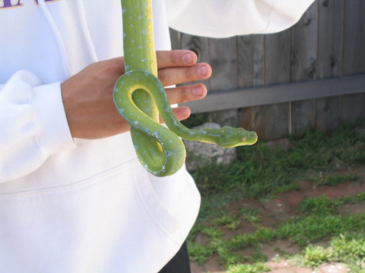 Handling My GTP