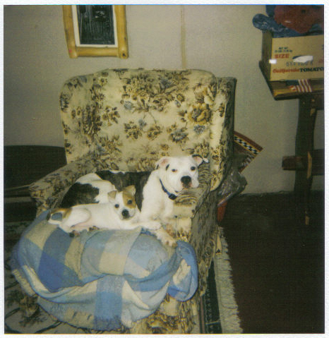 Zoe and Petra