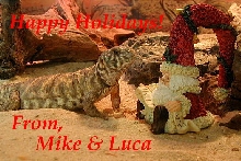 X-MAS-05
