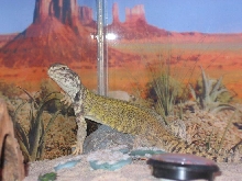 Spike2