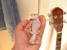 just chillin
