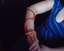what kind of morph