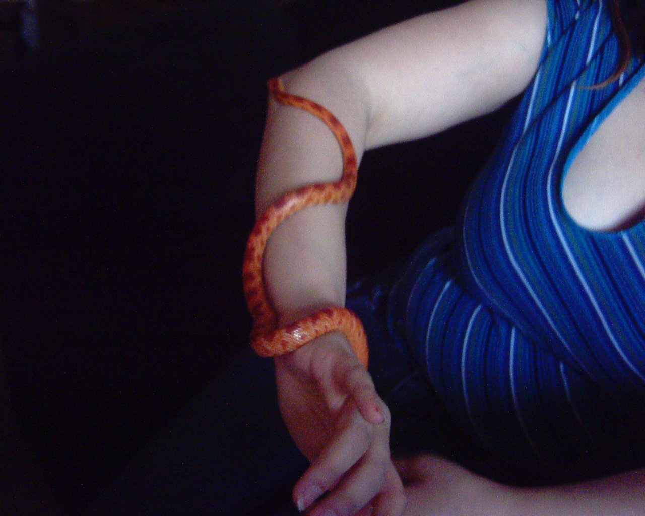 what kind of morph