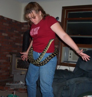 Snake belt