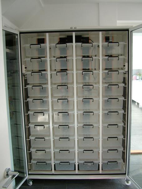 Incubator