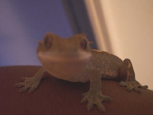 SMILE!