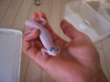 this is elouise
