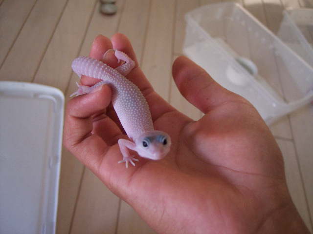 this is elouise