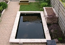 koi_vijver