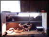 my setup