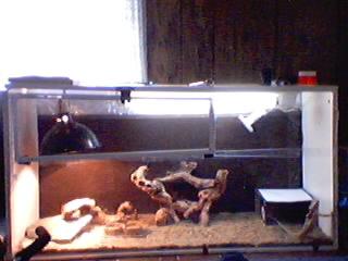 my setup