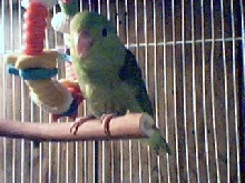 Mr. Bean again