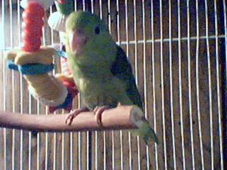 Mr. Bean again