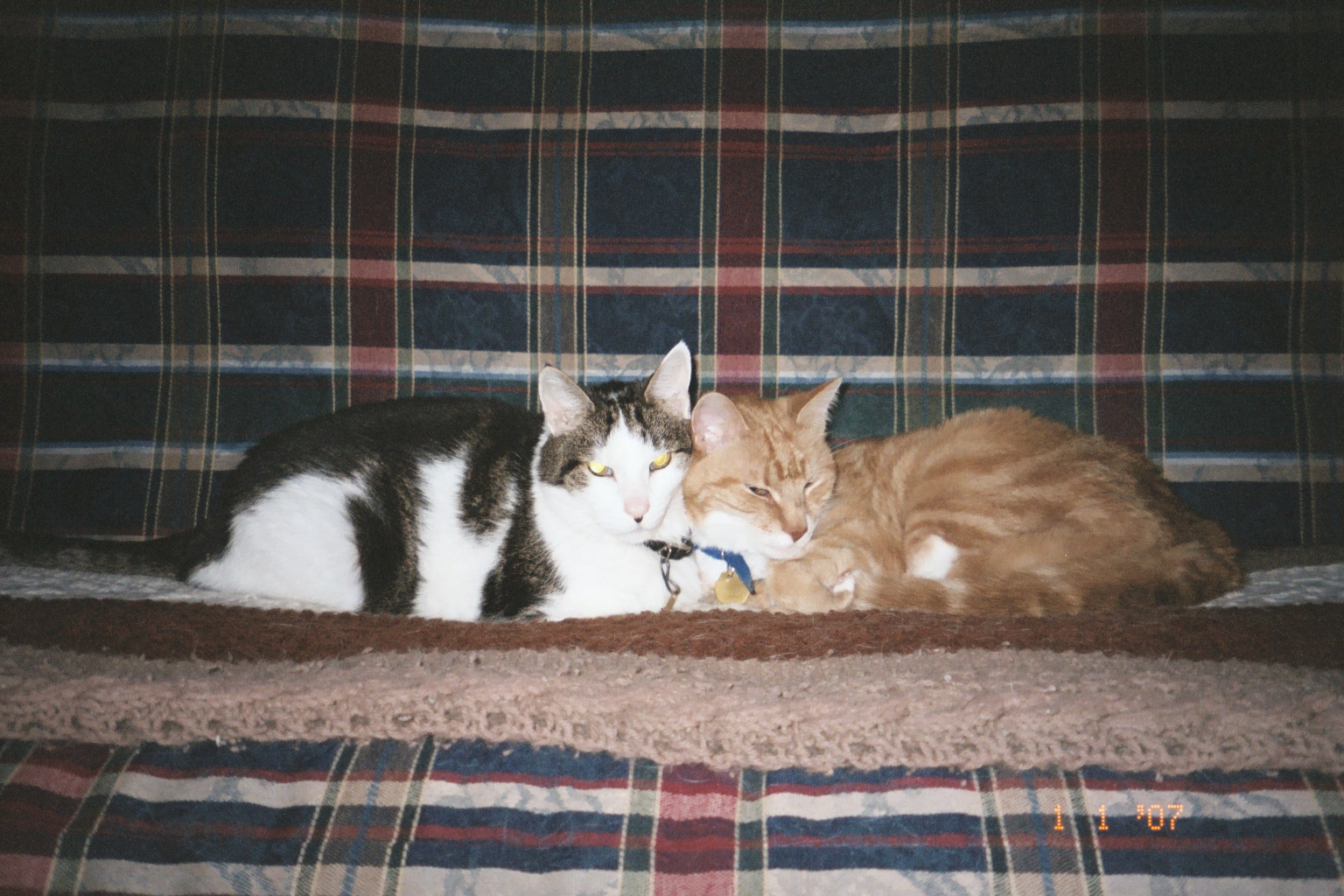 Stanley and Pookey 2007