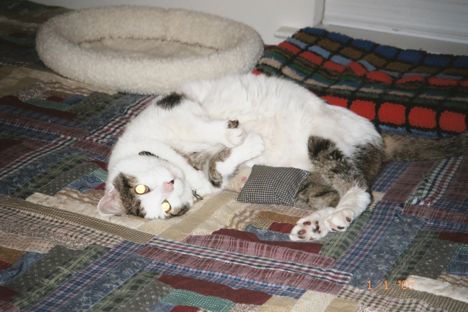 Stanley 2007