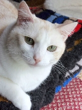 Sparkle Age 7