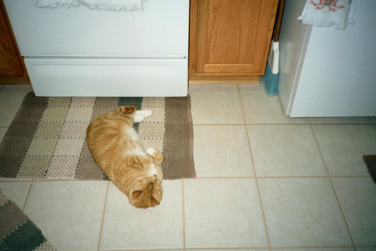 Pookey vs. the Icemaker Monster