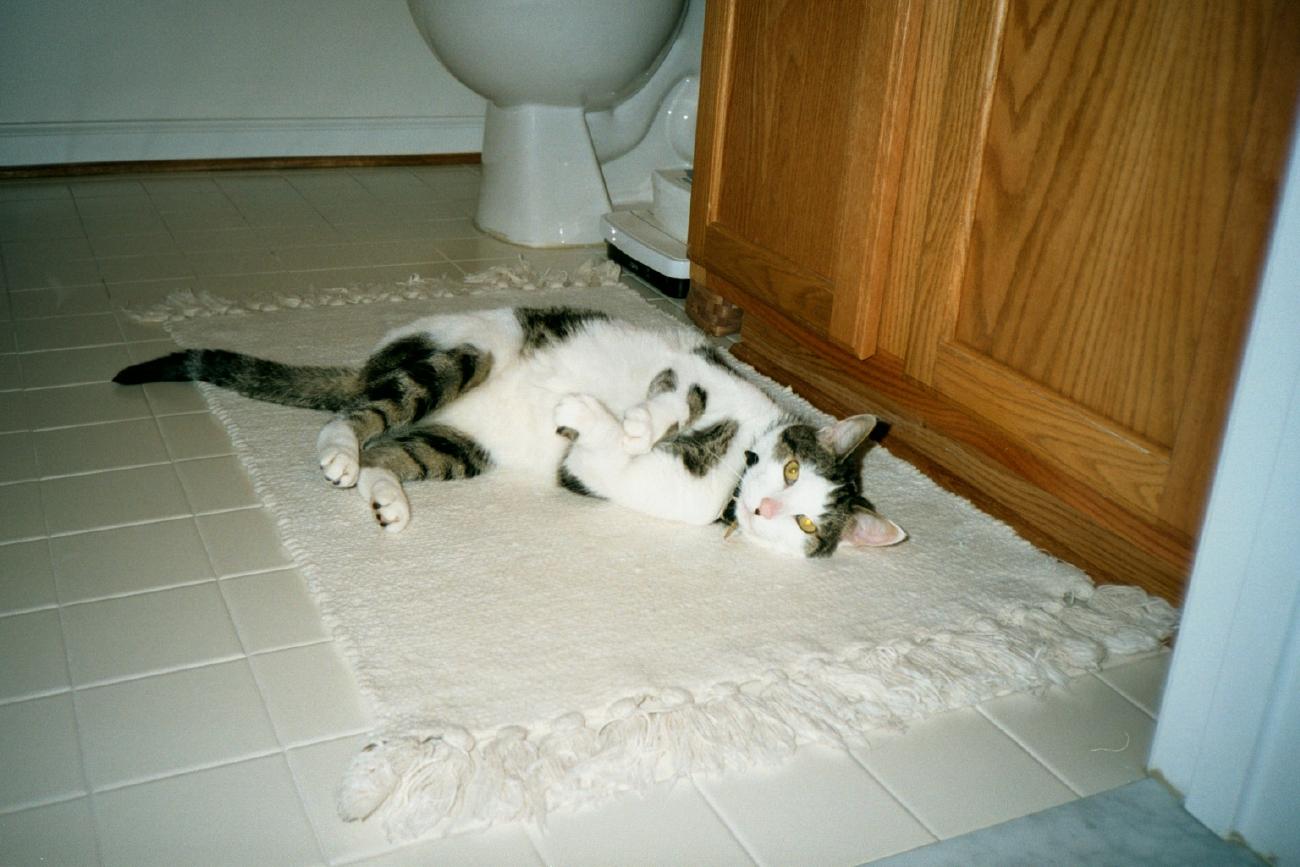 Stanley Bathroom