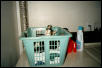 Stanley in Laundry Basket