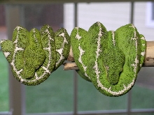 " Hangin Out "