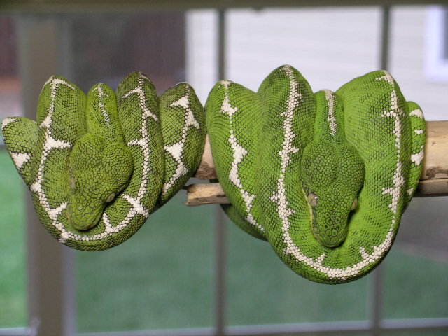 " Hangin Out "