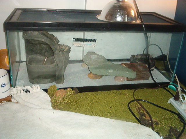 Leo Tank