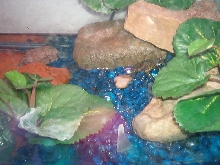 fbt close up of hide
